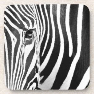 zebra coaster