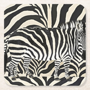 Zebra Coasters