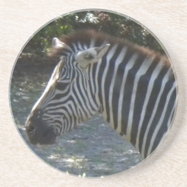 Zebra Coasters (Front)