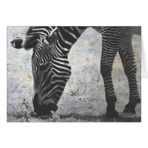 Zebra Crackle
