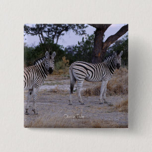 Zebra Double Take Photo 2 Inch Square Button