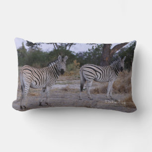 Zebra Double Take Photo Lumbar Pillow