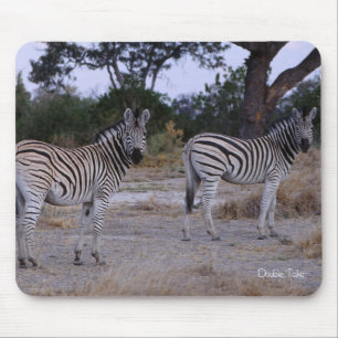 Zebra Double Take Photo Mouse Pad