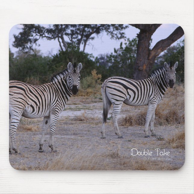 Zebra Double Take Photo Mouse Pad (Front)