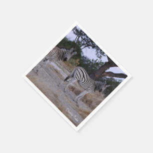 Zebra Double Take Photo Napkin