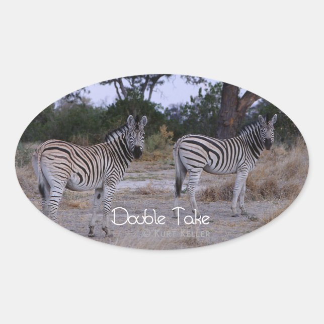 Zebra Double Take Photo Oval Sticker (Front)