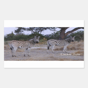Zebra Double Take Photo Sticker
