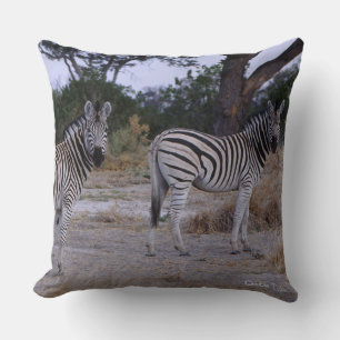 Zebra Double Take Photo Throw Pillow