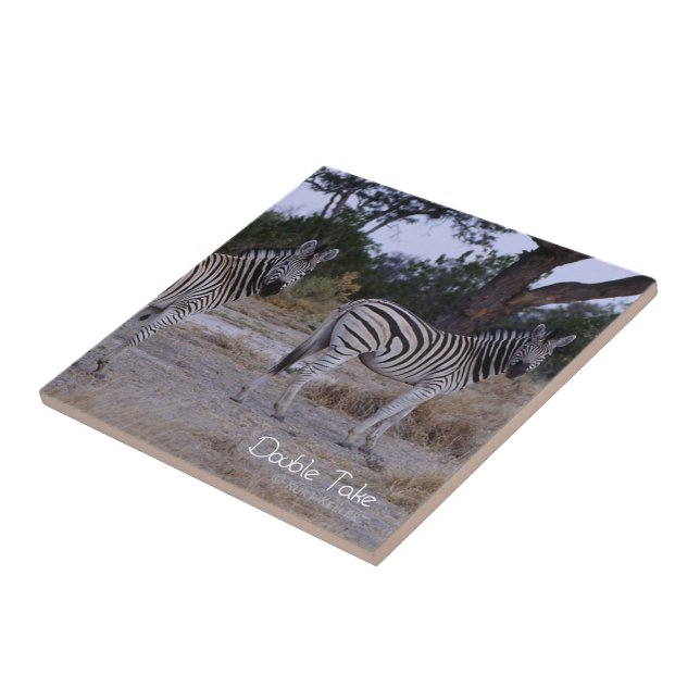 Zebra Double Take Photo Tile (Side)