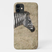 zebra face