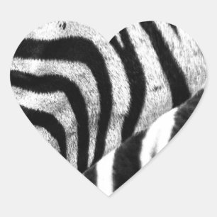 Zebra Face Heart Sticker