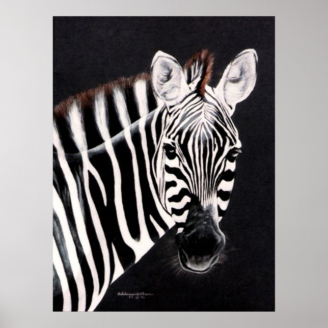 ZEBRA  facing right print (Front)