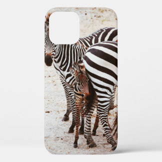 ZEBRA FAMILY iPhone 12 CASE