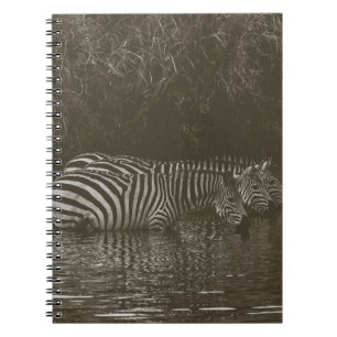 ZEBRA FAMILY DRINK NOTEBOOK