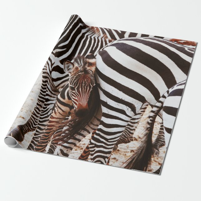 ZEBRA FAMILY WRAPPING PAPER (Unrolled)