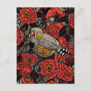 Zebra finch and red rose bush postcard