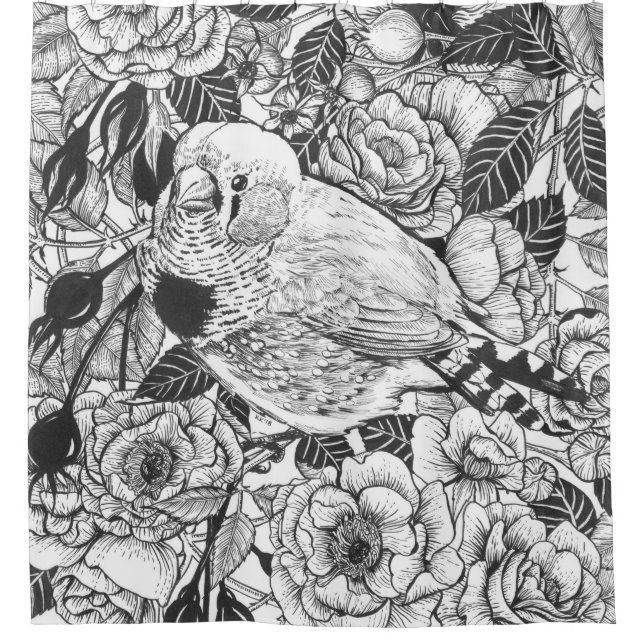 Zebra finch and rose bush ink drawing (Front)