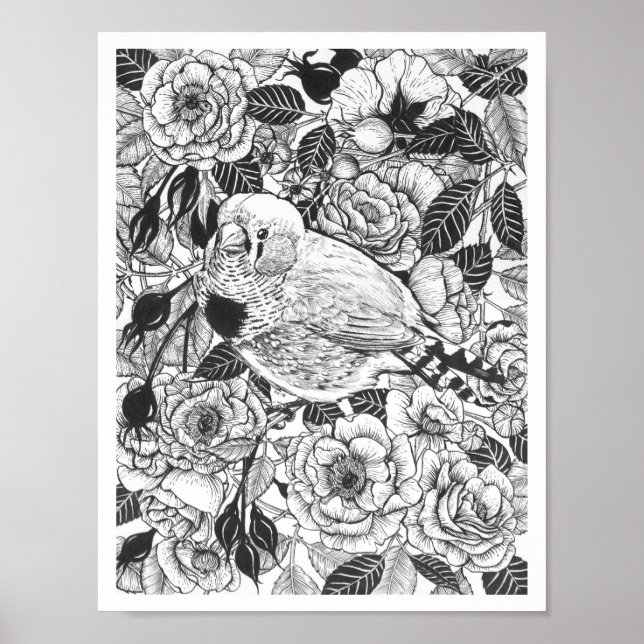 Zebra finch and rose bush ink drawing poster (Front)
