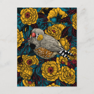 Zebra finch and rose bush postcard