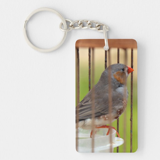 Zebra Finch Bird in Cage Keychain (Front)