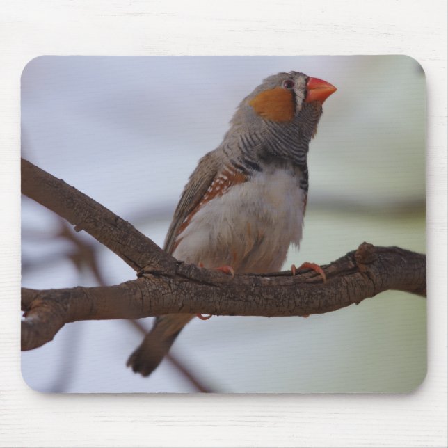 Zebra finch mouse pad (Front)
