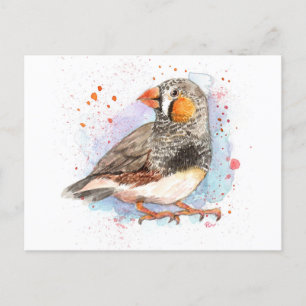 Zebra Finch Postcard