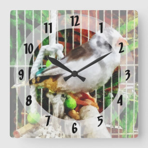 Zebra Finch Square Wall Clock