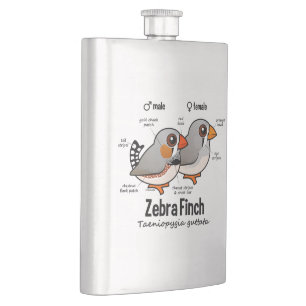 Zebra Finch Statistics Hip Flask