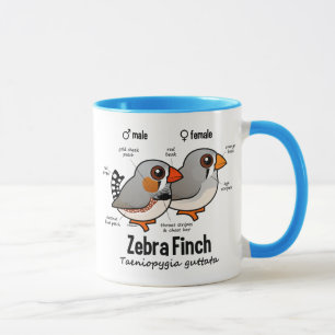 Zebra Finch Statistics Mug