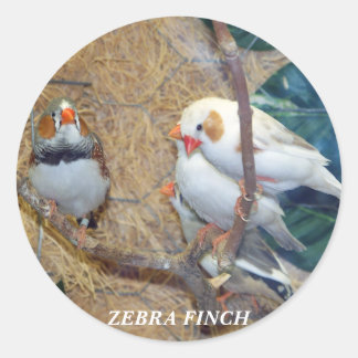 ZEBRA FINCH STICKERS