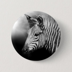 Zebra Foal 2 Inch Round Button