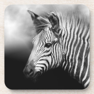 Zebra Foal Coaster