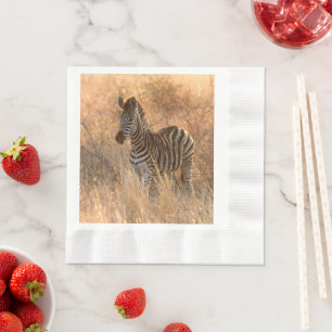 Zebra foal in morning sunrise photo napkin