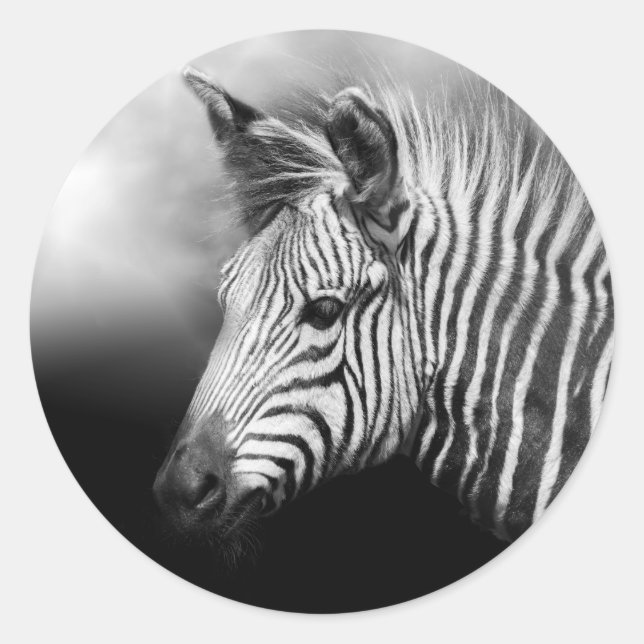 Zebra Foal Poster Classic Round Sticker (Front)