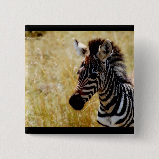 Zebra Foal wildlife baby 2 Inch Square Button (Front)