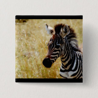 Zebra Foal wildlife baby 2 Inch Square Button