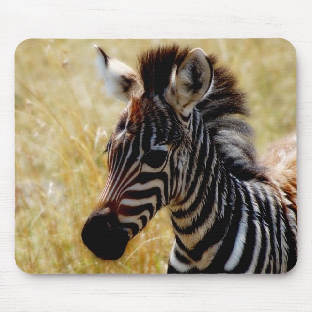 Zebra Foal wildlife mousepads (Front)