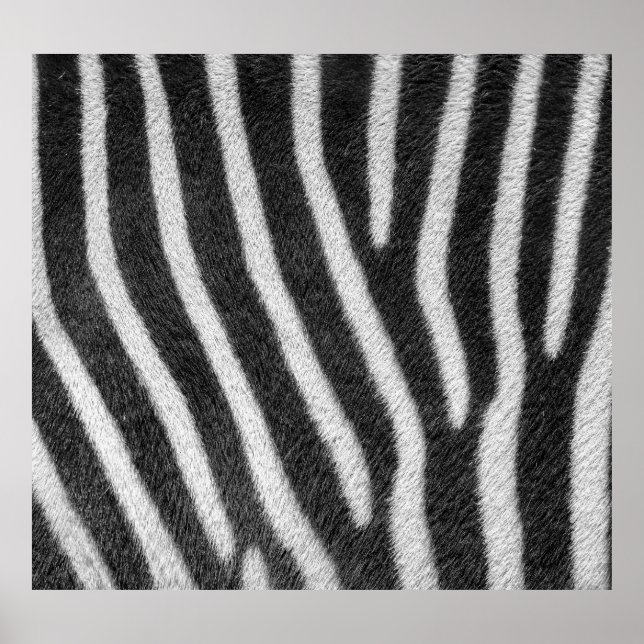 Zebra Fur Animal Pattern Poster (Front)