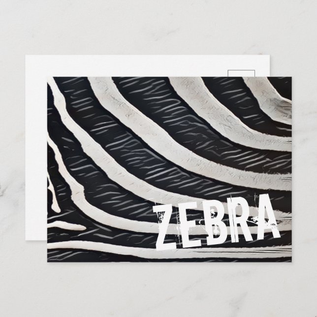 Zebra Fur Black and White Design for Animal Lover Holiday Postcard (Front/Back)