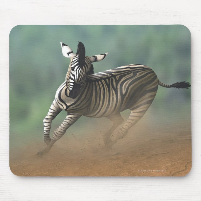 Zebra galloping over the desert landscape. mouse pad (Front)