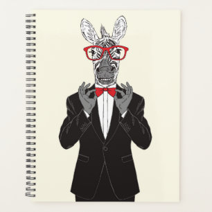 Zebra Gentleman