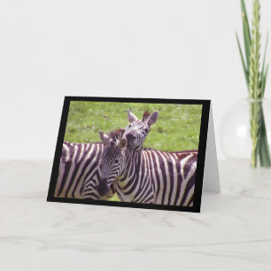 Zebra Greeting Card