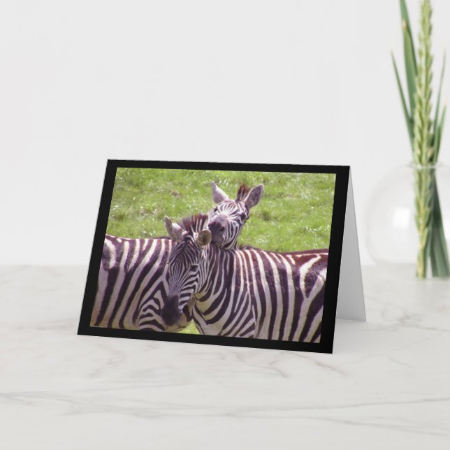 Zebra Greeting Card (Front)