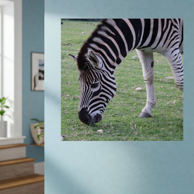 Zebra Head Black and White Striped Photo Poster (On Wall)