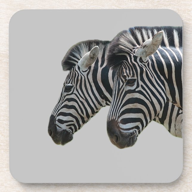 Zebra Heads  Coaster (Front)