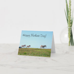 Zebra Herd Happy Mothers Day Card