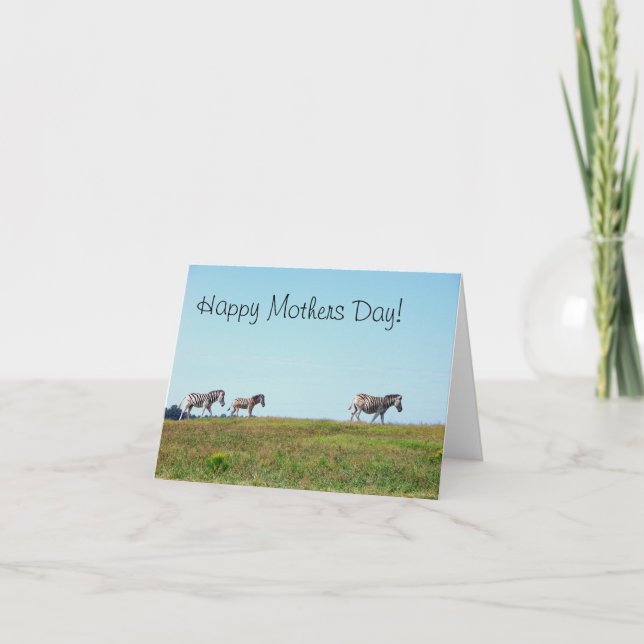 Zebra Herd Happy Mothers Day Card (Front)