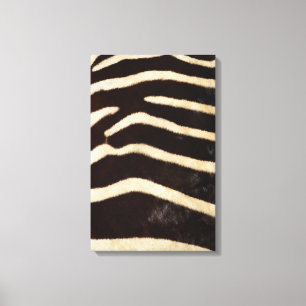 Zebra Hide Canvas Print