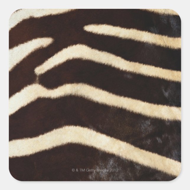 Zebra Hide Square Sticker (Front)
