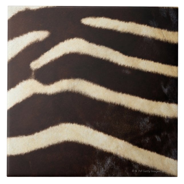 Zebra Hide Tile (Front)